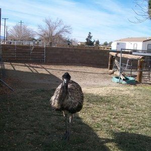 Meet your Posher, Gretchen